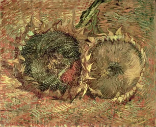 Zwei abgeschnittene Sonnenblumen, 1887